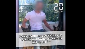 Dans combien d'affaires le nom de Nordahl Lelandais est-il cité ?