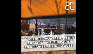 Les cirques montrent leurs animaux en plein Paris pour défendre leur métier