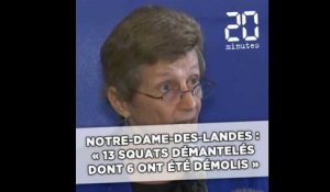 Notre-Dame-des-Landes : «13 squats démantelés dont 6 ont été démolis»