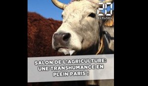 Salon de l'agriculture: Une transhumance en plein cœur de Paris !