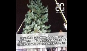 Tempête Eleanor: La cime du grand sapin de Noël de Strasbourg ne résiste pas aux rafales de vent