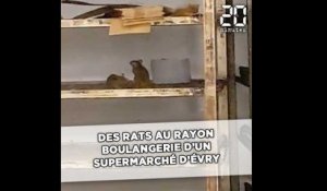 Un client filme des rats au rayon boulangerie d'un supermarché d'Evry