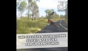 Un kangourou bondit sur une cycliste et la fait chuter