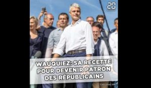 La recette de Laurent Wauquiez pour devenir patron des Républicains