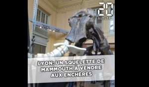 Lyon: Un squelette de mammouth à vendre aux enchères
