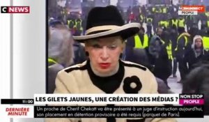 Morandini Live : pourquoi Geneviève de Fontenay n'est plus gilet jaune (vidéo)