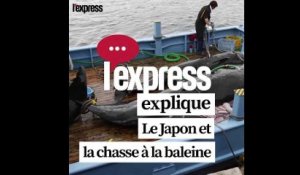 Le Japon va reprendre la pêche commerciale à la baleine