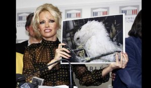 Pamela Anderson récompensée pour son combat pour la cause animale