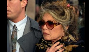 Grand débat national : Brigitte Bardot dénonce "un mépris insupportable"