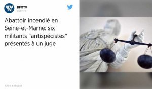 Abattoir incendié en Seine-et-Marne. Six militants de la cause animale mis en examen