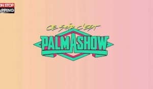 Le Palmashow tease son retour avec une vidéo hilarante