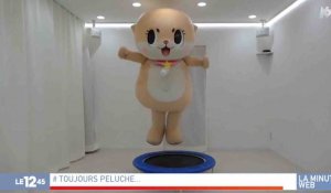 Une mascotte sème la terreur au Japon - ZAPPING ACTU HEBDO DU 26/01/2019