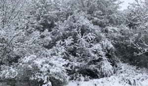 Tempête Gabriel : Neige au parc d'activités de La Cessoie à Lambersart