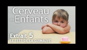 Le Cerveau des Enfants // Extait 05 : le Test de la Guimauve // VF