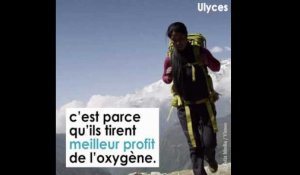 Comment les Sherpas sont-ils devenus surhumains ?