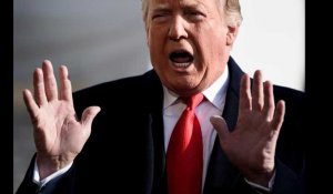 Trump affirme avoir vaincu Daech en Syrie
