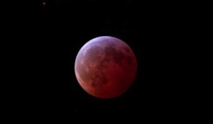 L'éclipse totale de la Lune, un spectacle rare