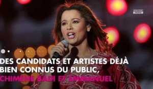Destination Eurovision 2019 : Emmanuel Moire sélectionné pour la finale