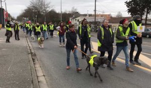 Ancenis. Acte IX de la mobilisation des gilets jaunes avec une marche dans les rues de la commune