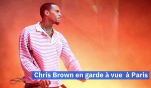 Paris : Le chanteur Chris Brown, ex-compagnon de Rihanna, placé en garde à vue pour une tentative de viol avec son garde du corps