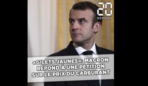 «Gilets jaunes»: «Vous avez raison», répond Macron à la pétition sur les prix du carburant