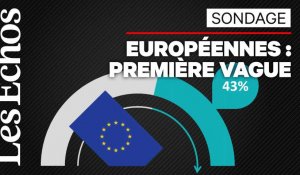 Européennes : élection test pour Emmanuel Macron