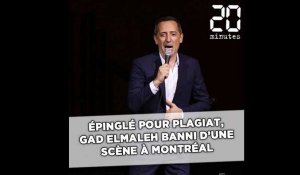 Epinglé pour plagiat, Gad Elmaleh banni d'une scène à Montréal