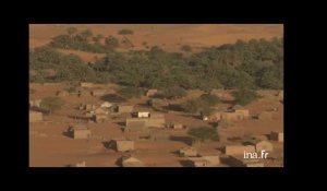 Mauritanie : village dans l'oasis