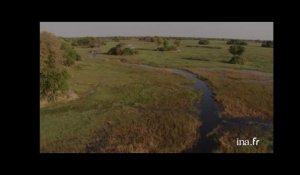 Botswana : chemins d'eau et marais