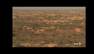 Sénégal : agriculture en zone semi-aride