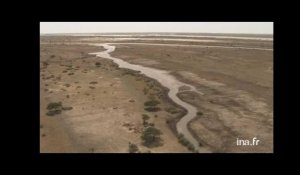 Sénégal : savane arborée du parc du Djoudi