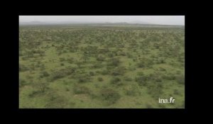 Tanzanie : plaine et volcan au loin