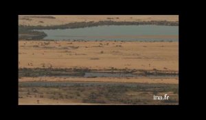 Tchad : lacs dans le désert