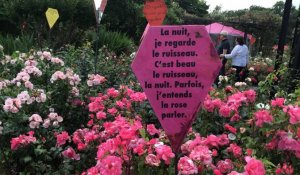 Concours international de la rose parfumée à Nantes