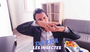 TPMP : Les insectes, la Coupe du monde, le métro... le darka/rassrah de Willy Rovelli (Exclu Vidéo)