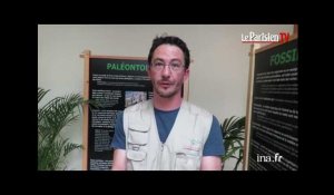 ' Jurassic Deuil ' : une expo pour les passionnés de dinosaures
