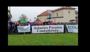 Día del Medio Ambiente en Asturias vecinos y ecologistas se unen en el Valle de las Caldas