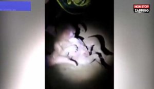 Brésil : Un enfant retrouvé vivant après avoir passé sept heures sous terre (Vidéo)