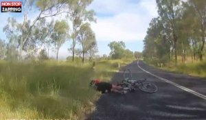 Australie : Un kangourou percute violemment une cycliste (vidéo)