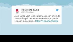 Comment Jeanne Mas veut sauver le chien d'Alain Delon