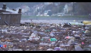 Crue de la Seine : une mer de déchets dans les Yvelines (vidéo)