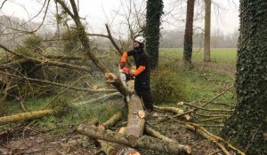 Tempêtes à Caen : 80 arbres de la voie verte tombés sont dégagés
