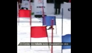 En Corée, les robots aussi chaussent les skis