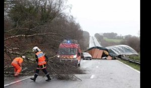 Tempête Carmen : un poulailler se retrouve au milieu de la route dans le Finistère (vidéo)