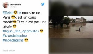 Inondations. Monstre du Loch Ness, jet-ski... les internautes détournent les images de la Seine.