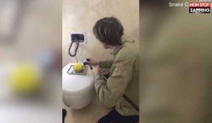 Australie : Un serpent bouche les toilettes d'une maison (vidéo) 