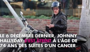 Johnny Hallyday : Guillaume Canet lui rend un bel hommage