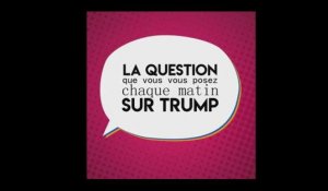 Un an de Trump vu par Pierre-Yves Dugua