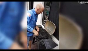 Australie : un invité surprise dans un barbecue (vidéo)