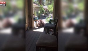 États-Unis : Une maman fait fuir un ours avec ses cris (Vidéo)